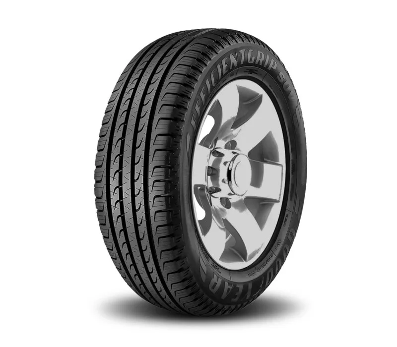 Goodyear  225/55R19 99V  Efficientgrip SUV