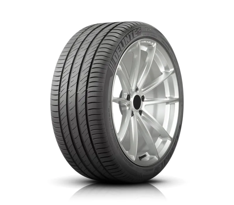Delinte  295/40R19 108W  DS2